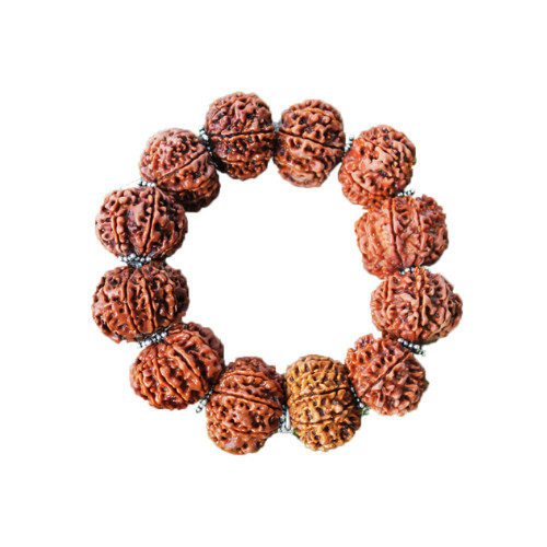 11 Mukhi (Nepali) Rudraksha Bracelet