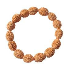 10 mukhi (Indonesia) rudraksha bracelet