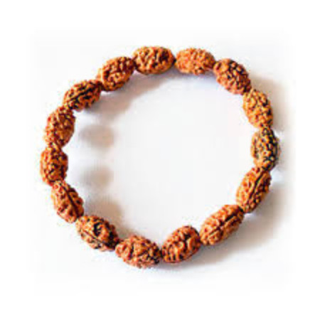 2 Mukhi (Indonesia) Rudraksha Bracelet