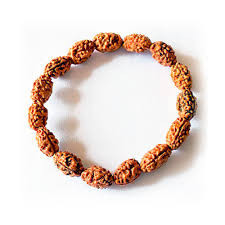 2 Mukhi (Indonesia) Rudraksha Bracelet