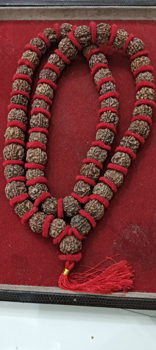 5 Mukhi Nepali Rudraksha Mala Kantha(54+1)
