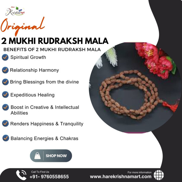 2 Mukhi Rudraksha Mala Indonesia