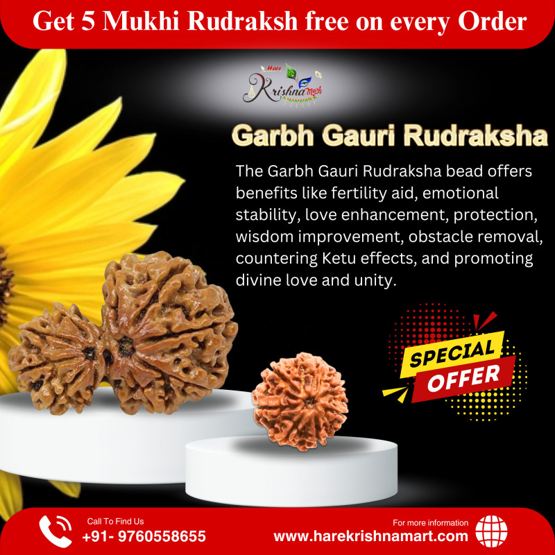 Garbh Gauri Rudraksha