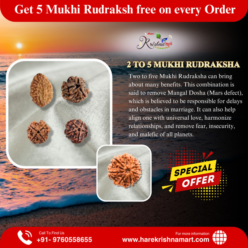 2 to 5 mukhi Rudraksha