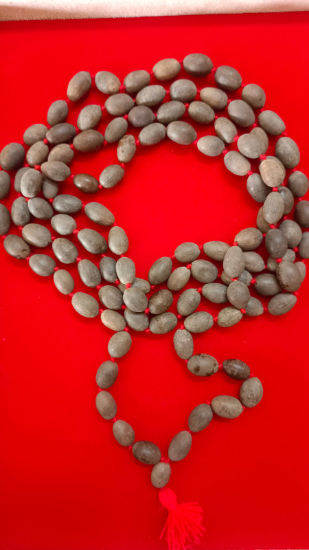 Combo of Energized Original Vaijayanti and Lotus Seeds Mala