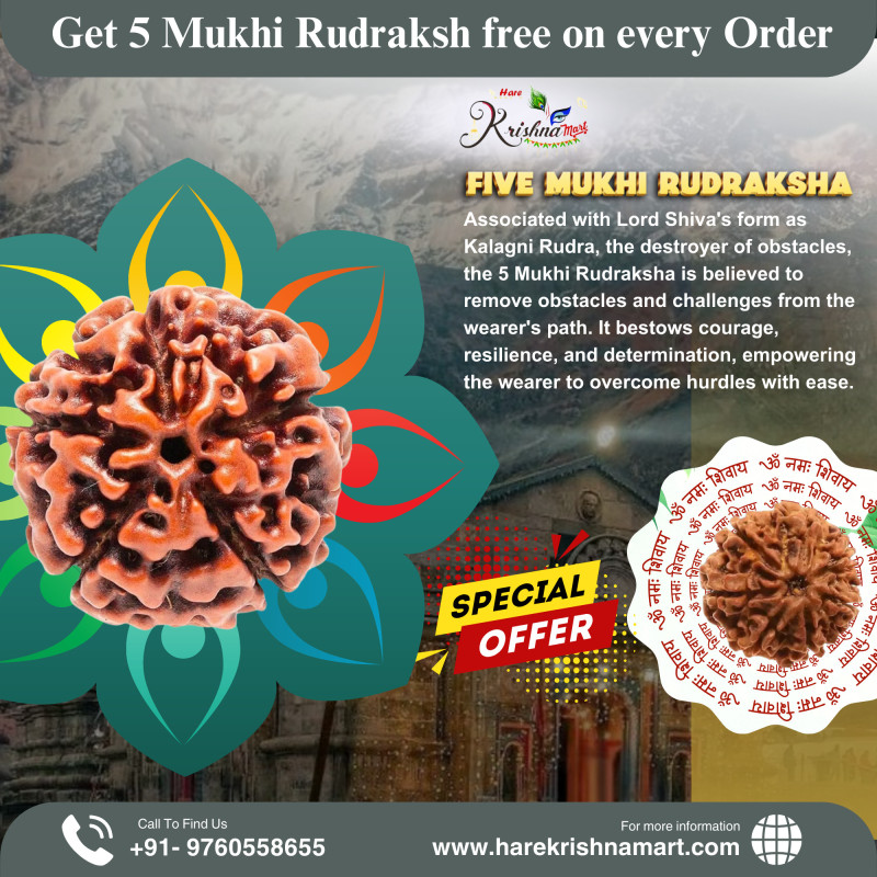 5 Mukhi Rudraksha Original(Nepal)