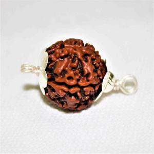 Rudraksha