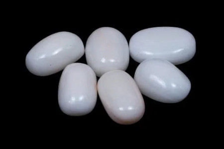 White coral (Italian)